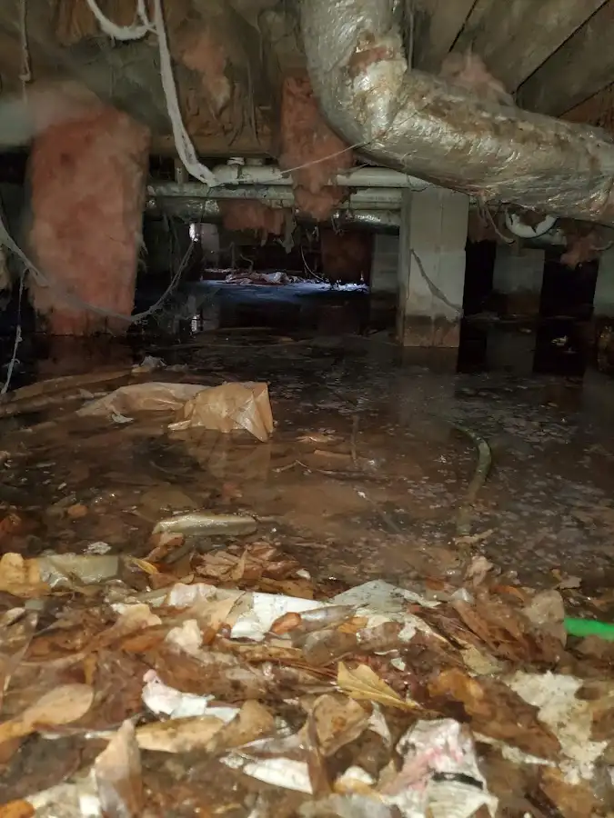 Crawl space flood assessment for Leak Detection & Repair in Preston